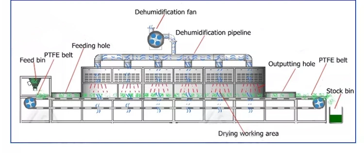 CE Automatic PLC Industrial Continuous Tunnel Conveyor Belt Food Nut Condiments Spices Tea Leaves Drying Sterilization Microwave Oven Dryer Machine