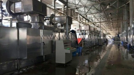 China Mesh Belt Conveyor Dryer Gemüse-Karotten-Trocknungsmaschine