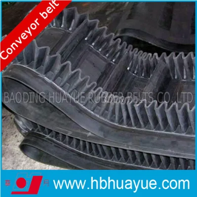 Qualitätssicherung Huayue China Bekanntes Markenzeichen Seitenwand-Gummibandförderer Cc Ep Nn St